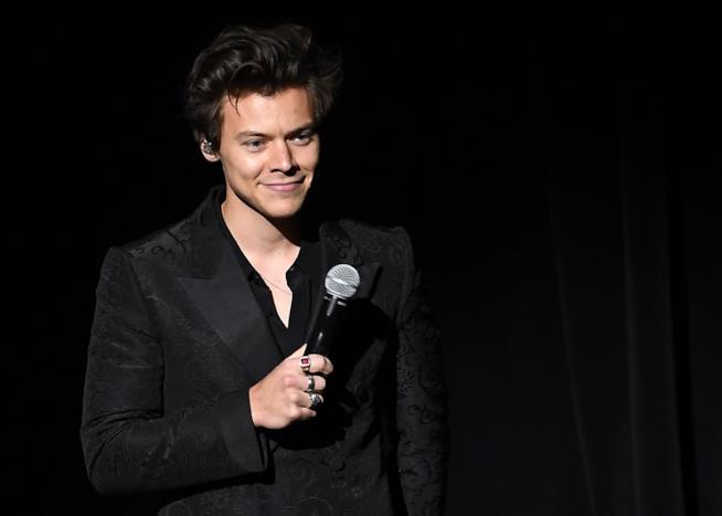 Harry Styles ha aiutato una fan a fare coming out durante un suo concerto Harry Styles
