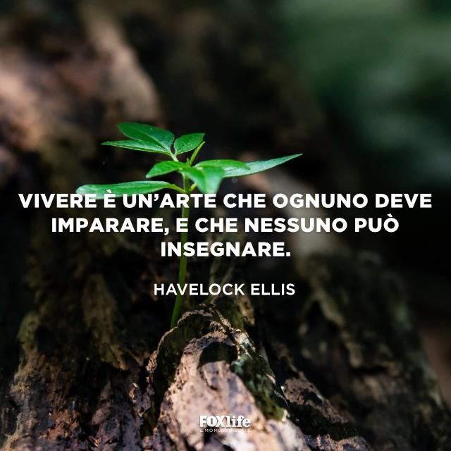 Citazione Ellis Pianta che nasce su un tronco d'albero