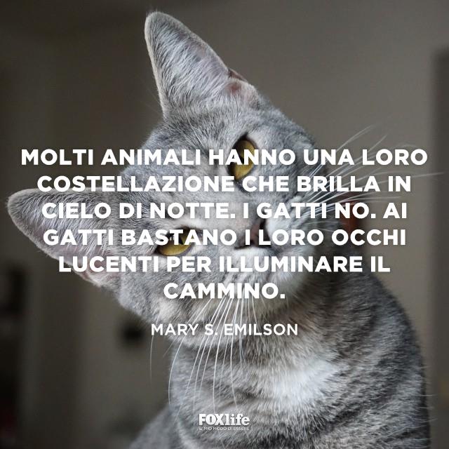 Frase Emilson Gatto con la testa piegata da un lato