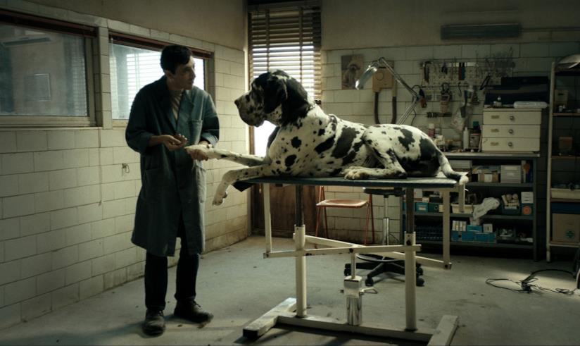 Marcello Fonti protagonista di Dogman Una immagine tratta da Dogman, il film di Matteo Garrone