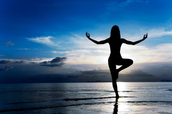 Le posizioni yoga più importanti Una ragazza pratica yoga immersa nella natura