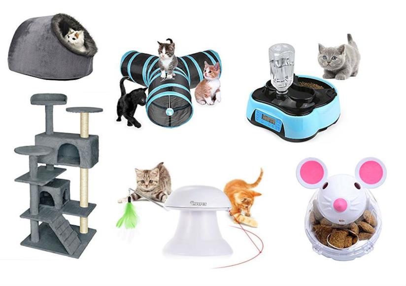 Idee regalo per festeggiare la Giornata nazionale del gatto Gatto