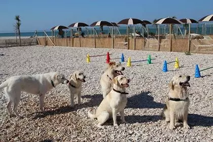 Baia Canaria a Cesano di Senigallia Baia Canaria a Cesano di Senigallia