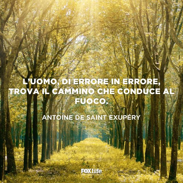 Frase sul cammino Sentiero in un bosco