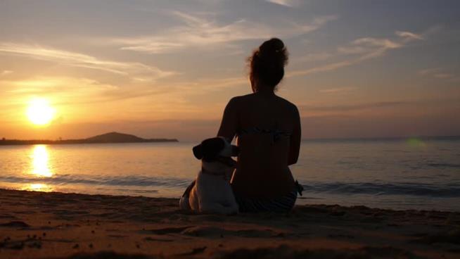 Una donna e un cane al tramonto Profili di una donna ed un cane sulla spiaggia al tramonto