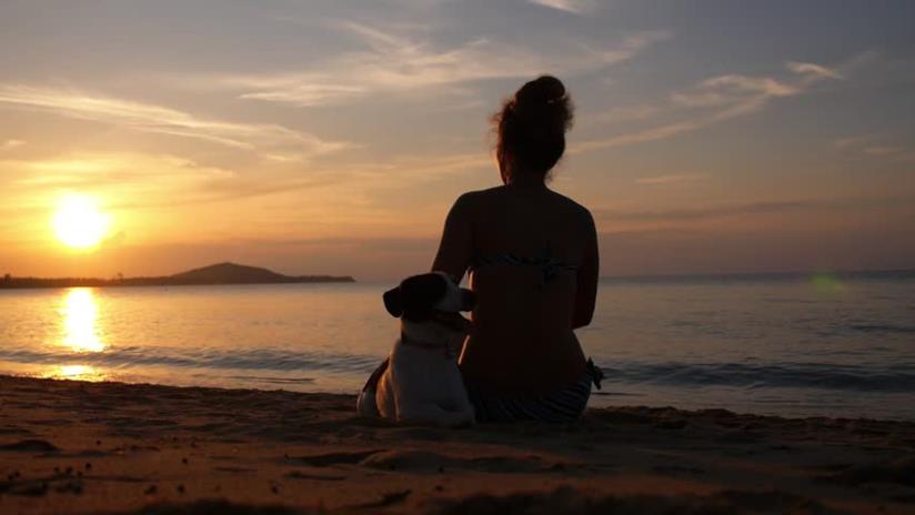 Una donna e un cane al tramonto Profili di una donna ed un cane sulla spiaggia al tramonto