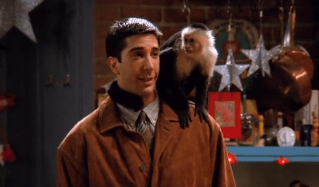 Ross e Marcel in una scena di Friends Ross e Marcel
