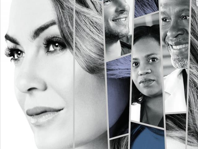 La locandina di Grey's Anatomy 14 I protagonisti di Grey's Anatomy 14