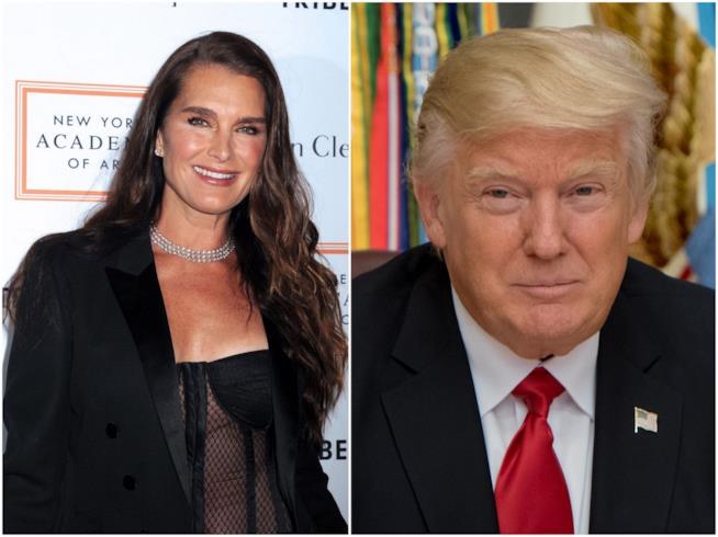 Brooke Shields e Donald Trump, quando lei l'ha respinto Brooke Shields e Donald Trump