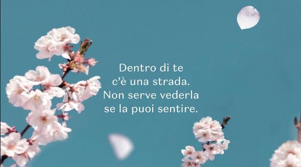 La distanza tra me e il ciliegio: trama e recensione del libro Cover del libro