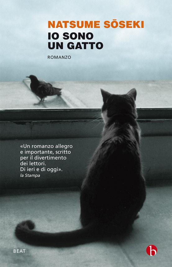 Senza nome de Io sono un gatto Io sono un gatto