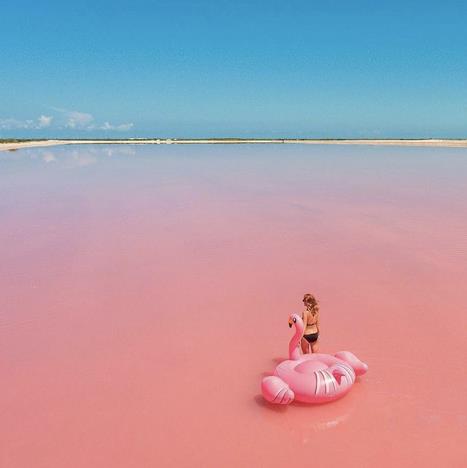 Millennial Pink Una ragazza entra in un mare rosa con un fenicottero gonfiabile