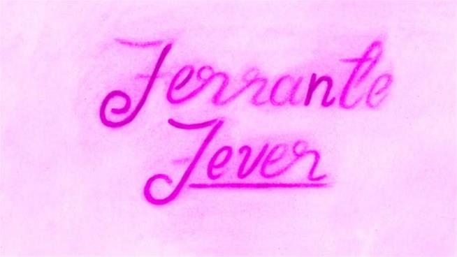Ferrante Fever è al cinema: ecco i suoi fan statunitensi nelle nuove clip Jonathan Franzen in Ferrante Fever