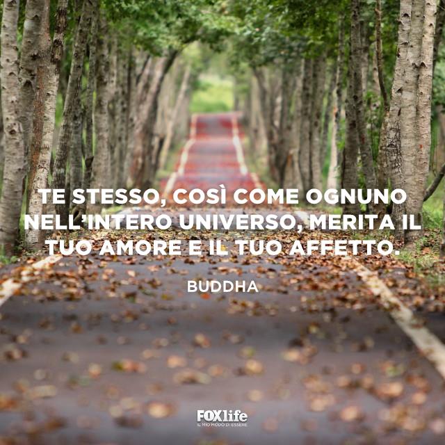 Tutti meritano di essere amati Strada costeggiata da alberi