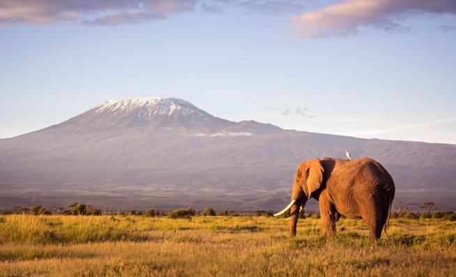 Amboseli National Park in Kenya Amboseli National Park in Kenya