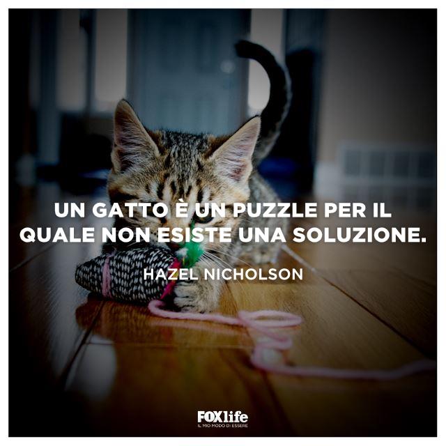 Frase Nicholson Gatto gioca con un gomitolo di lana