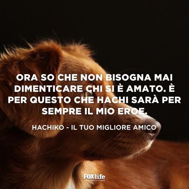 Citazione Hachiko Profilo del muso di un cane