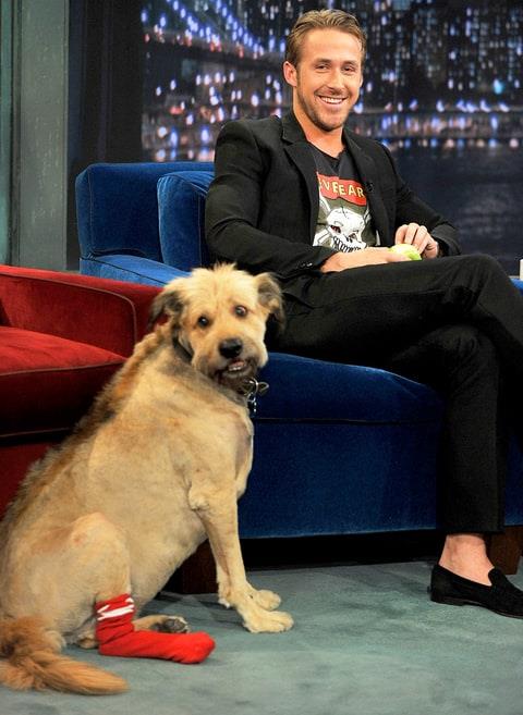 Ryan Gosling ed il cane George Ryan Gosling ospite di Jimmy Fallon con il suo cane George