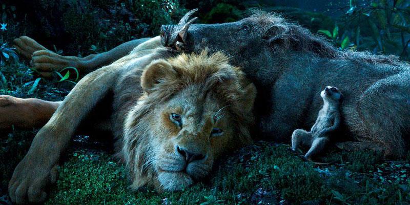 Una scena del film Il Re Leone Il Re Leone