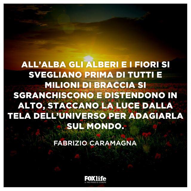 Frase Caramagna Sole che sorge su un prato