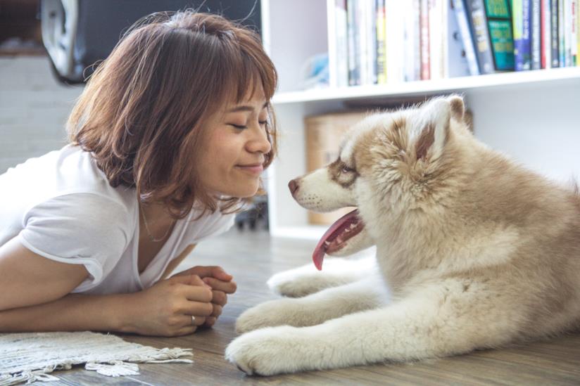 Una donna sul pavimento insieme a un cane Una donna e un cane in salotto