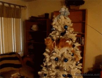 Un gatto fa cadere l'albero di Natale