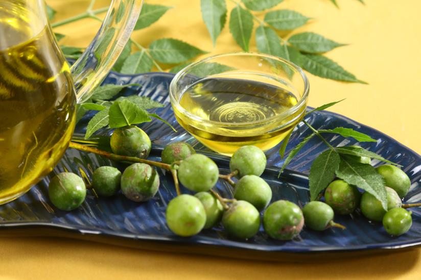 L'olio di Neem è un ottimo antibatterico Ciotola con olio di neem
