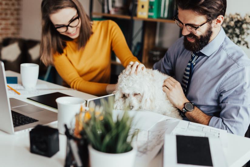 22 giugno giornata mondiale del cane in ufficio: i motivi per cui fa bene Colleghi con cane in ufficio