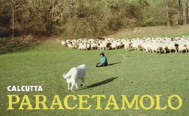Calcutta, arriva il terzo singolo da Evergreen: ecco Paracetamolo Calcutta Paracetamolo
