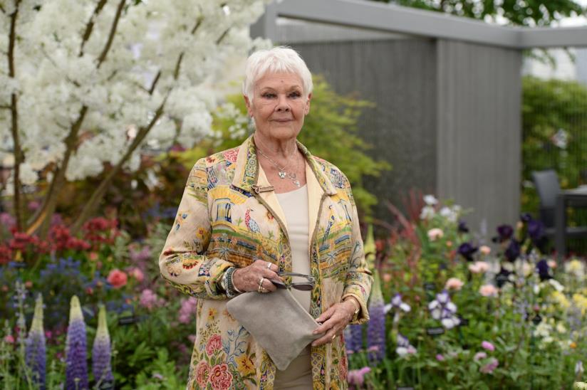 Dame Judi Dench L'attrice Judi Dench al Chelsea Flower Show