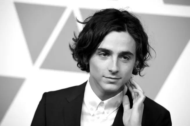 Timothée Chalamet 90th Annual Academy Awards Nominee Luncheon Timothée Chalamet sul red carpet del 90th Annual Academy Awards Nominee Luncheon