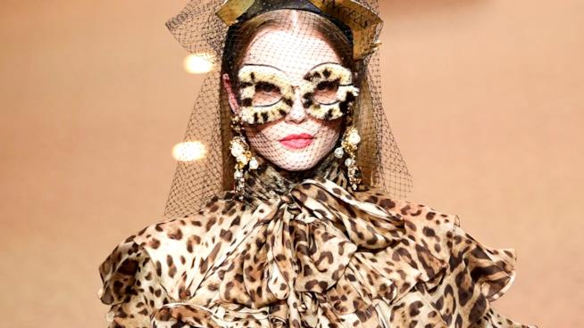 La collezione haute couture di Dolce & Gabbana ha le stampe animalier I vestiti e gli accessori maculati nella collezione di Dolce & Gabbana