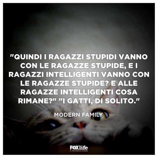 Frase Modern Family Gattino che si arrampica su un tavolo