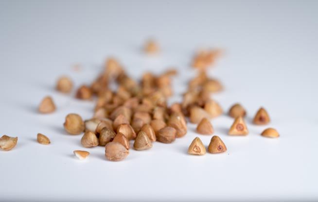 Grano saraceno Cereali