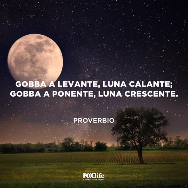 Proverbio sulla luna Campagna con un cielo stellato e la luna piena