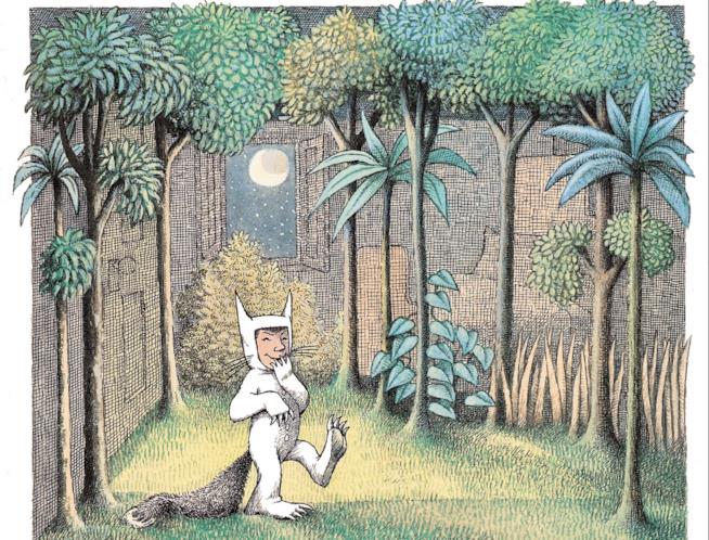 Quali sono gli albi per bambini da avere per forza Un'illustrazione di Sendak