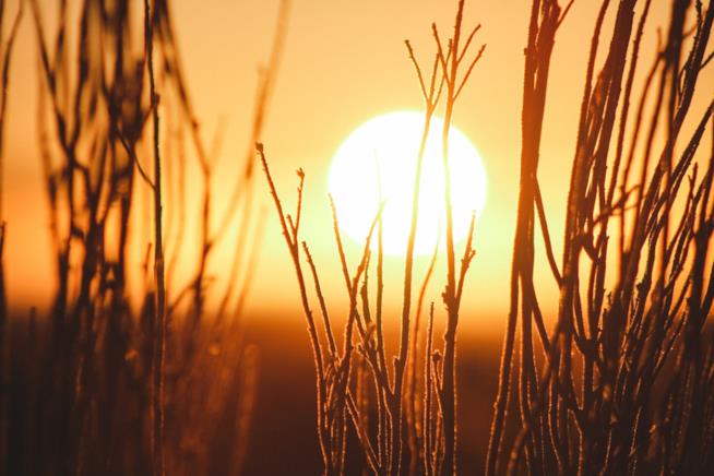 Il meteo del weekend: le previsioni per 14-15 luglio e consigli su cosa fare Giornata di sole