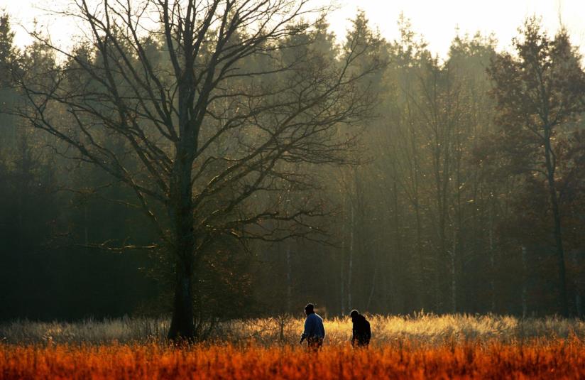 Una coppia cammina nella natura Due persone camminano nella natura