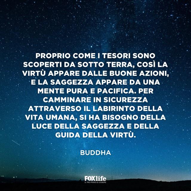 Abbiamo bisogno della luce della saggezza Paesaggio notturno