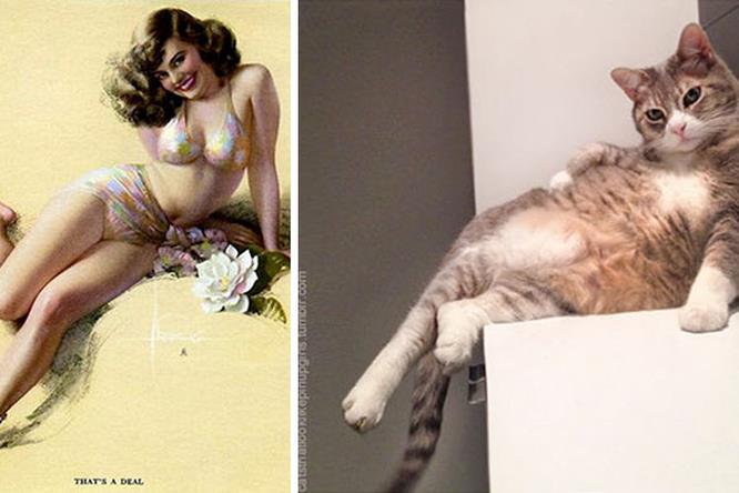 La pin-up mora ed il gatto grigio Una pin-up ed un gatto seduti in modo seducente