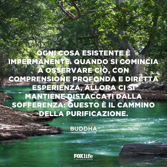 Cammino di purifcazione Ruscello in una foresta