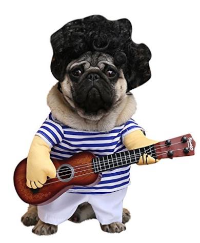 Costume Cane Funny
