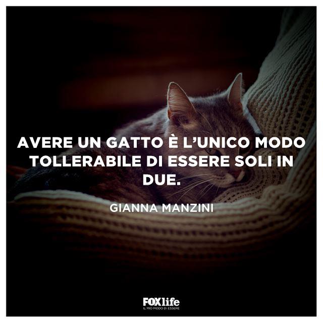 Frase Manzini Gatto accucciato in poltrona