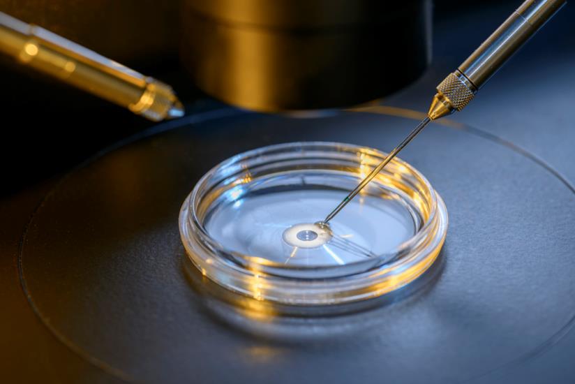 Che cosa succede agli embrioni avanzati? Provette