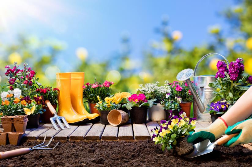 Giardinaggio in estate piante e utensili da giardino
