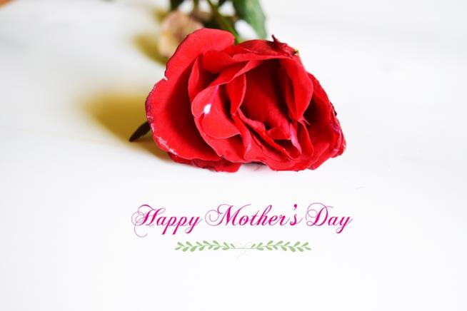 Regali della Festa della Mamma Una rosa rossa e un augurio per la Festa della Mamma