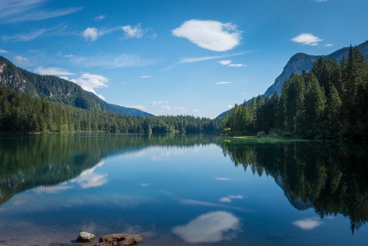 Lago di Tovel Gli alberi si specchiano nelle acque del Lago di Tovel