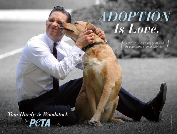 Tom Hardy ed il suo cane Woody per Peta Tom Hardy insieme al cane Woody testimonial per Peta
