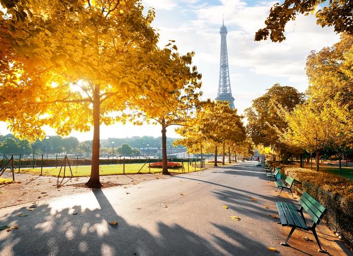 Parigi Viale di Parigi vicino alla Tour Eiffel con alberi dalle foglie color oro.