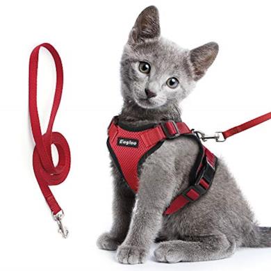 Pettorina per gatti con guinzaglio
